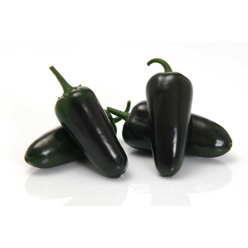 Färska Jalapenos 1hg